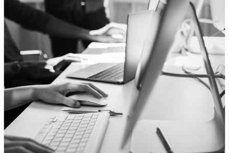 cursos de apicultura a distancia