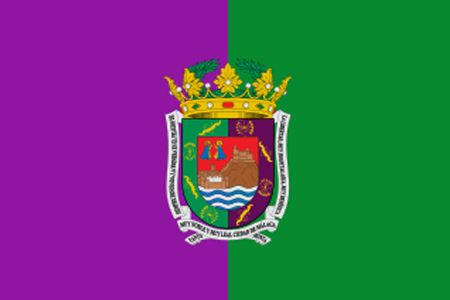 curso de apicultura Málaga